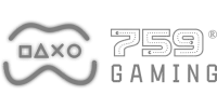इभोलुसन गेमिङ logo